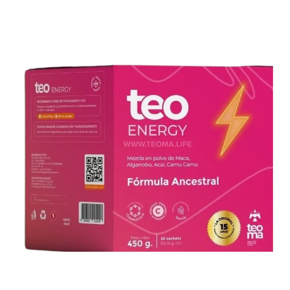TEO ENERGY