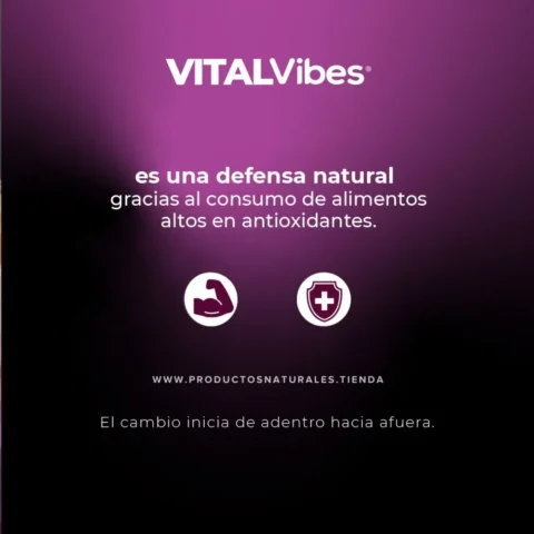 MORINGA CON NONI VITAL VIBES