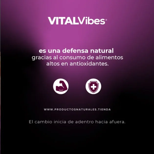 MORINGA CON NONI VITAL VIBES
